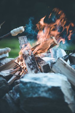 Ateşte ekmek pişirme: Barbekü açık havada bir şenlik ateşi ile