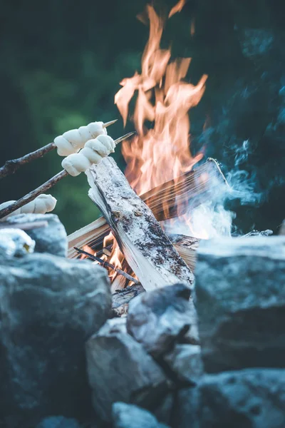 Cuisson du pain au-dessus du feu : Barbecue à l'extérieur avec un feu de joie — Photo
