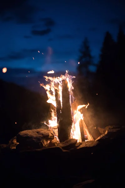 Camping feu de joie avec des flammes jaunes et rouges en été, forêt. Co — Photo