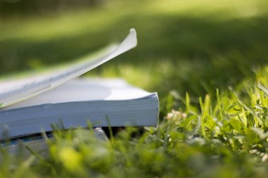  Parktaki yeşil çimenler üzerine kitaplar