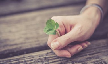 Kadın elinde yeşil yonca 