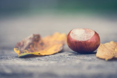 Kestane ve sonbahar yaprakları ahşap masada