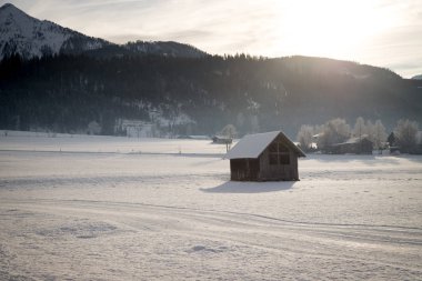 Karla kaplı ağaçlarla kaplı kış manzarası