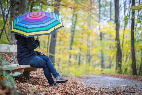 Glimlachende Vrouw Met Hoed Paraplu Het Bos — Stockfoto