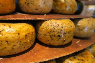 Arkaplanda geleneksel Hollanda peynirleri, kapatın