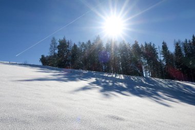 Karlı ağaçlarla dolu güzel, huzurlu kış manzarası 