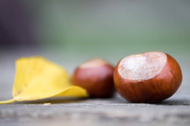 Tahta bir arka planda kestane ve yaprak