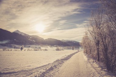 Karla kaplı ağaçlarla kaplı kış manzarası