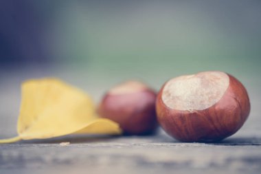 Tahta bir arka planda kestane ve yaprak
