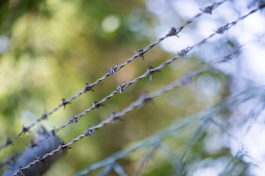 Dikenli Tel ile Çit