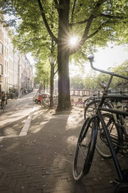  Amsterdam caddesinde bisiklet manzarası