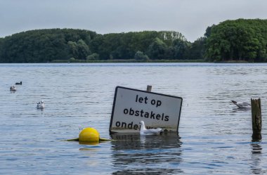 Suyu ve arka planda kuşları işaretle
