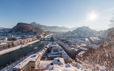 Karlı ağaçlarla dolu güzel, huzurlu kış manzarası 