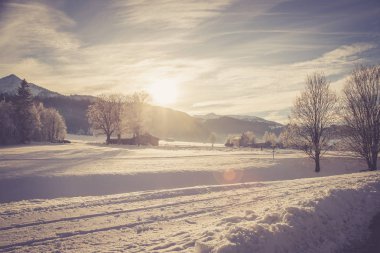 Karla kaplı ağaçlarla kaplı kış manzarası