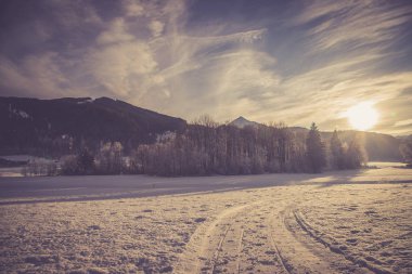 Karla kaplı ağaçlarla kaplı kış manzarası