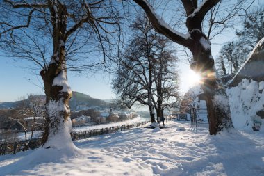Karlı ağaçlarla dolu güzel, huzurlu kış manzarası 