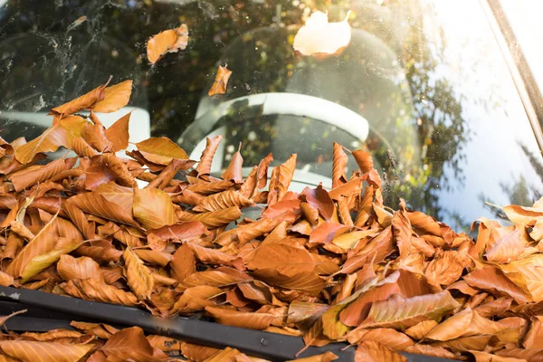 Jesień Żółte Liście Spadają Pod Samochód — Zdjęcie stockowe