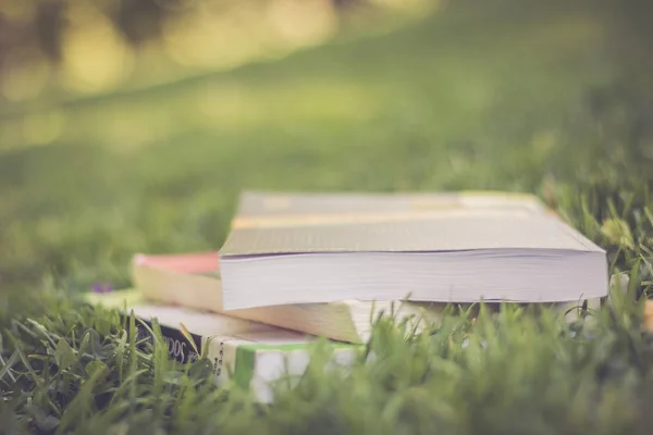 stack with books on nature background