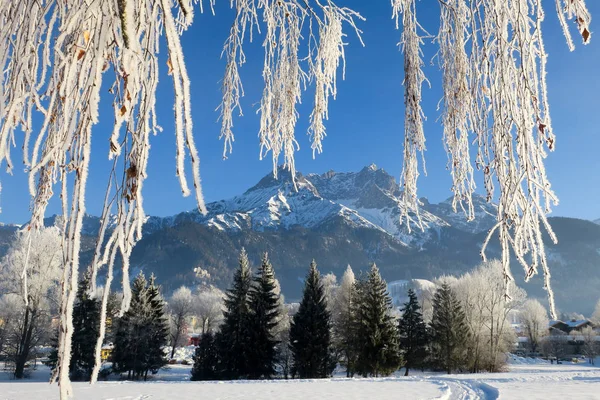 Красивий Ідилічний Зимовий Пейзаж Сніжними Деревами — стокове фото