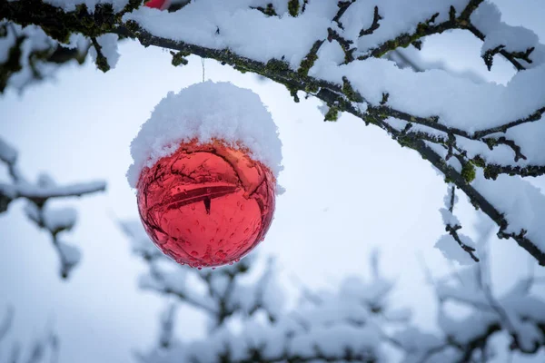 Décoration Noël Sur Arbre Avec Neige — Photo