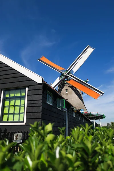 Windmolen Blauwe Lucht Nederland — Stockfoto