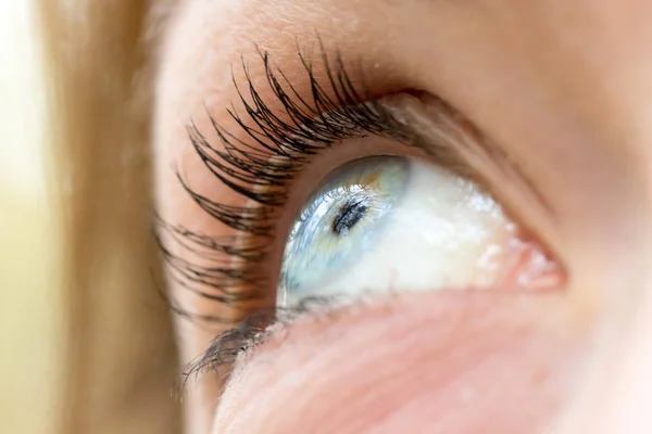 Beautiful blue eyes of a young girl — Stock Photo, Image