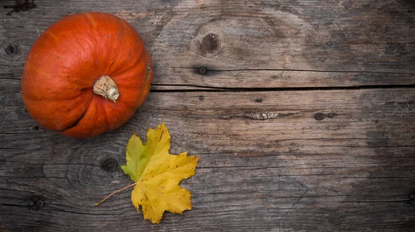 Hojas Brillantes Otoño Calabaza Fondo Cerca — Foto de Stock