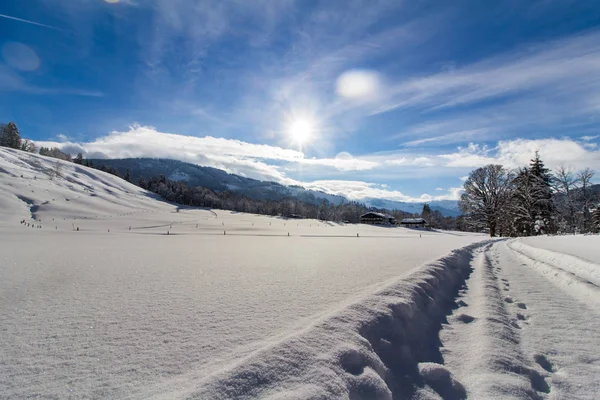 Vinterlandskap Med Snö Och Träd — Stockfoto