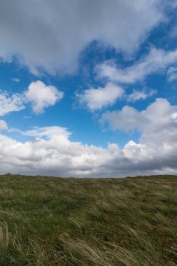 Blue sky and  grass field on the ground, Natural landscape background