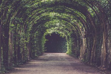 Parkta tüneli olan güzel bir sokak..