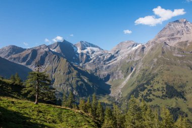 Alp manzara: çayır, orman, dağlar ve mavi gökyüzü