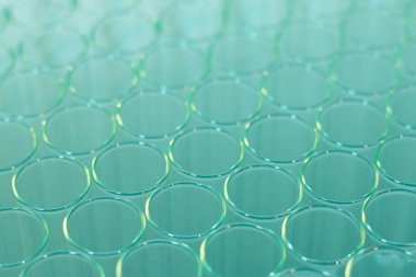 boş temiz gözlük arka plan