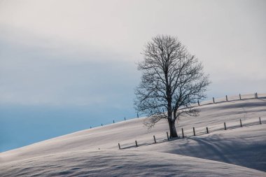 Arkasında kar olan kış manzarası