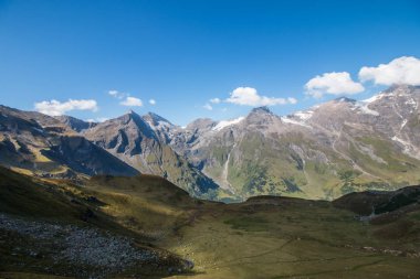 Alp manzara: çayır, orman, dağlar ve mavi gökyüzü