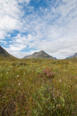 güzel dağ manzarası ve mavi gökyüzü