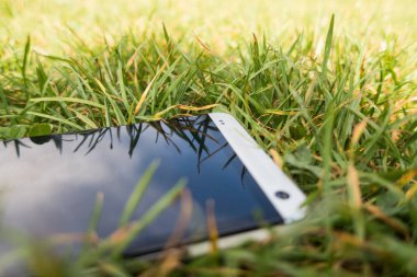 yeşil çim mobil akıllı telefon