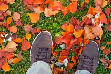 male legs on autumn leaves background