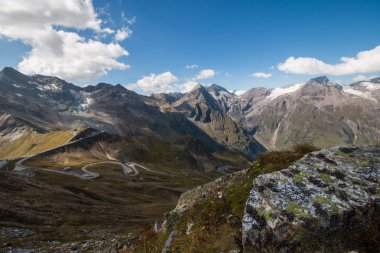 Alp manzara: çayır, orman, dağlar ve mavi gökyüzü