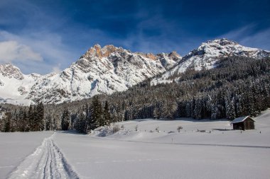 Dağlarda karlı ağaçlar