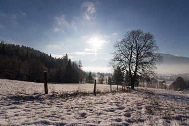 Kar ve ağaçlarla kaplı kış manzarası