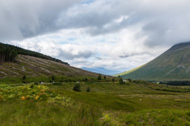  Yaz arkaplanında yeşil tarlası olan dağ