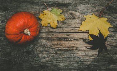 Bright autumn  leaves and pumpkin  on background,close up