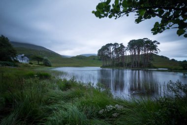Göl ve ağaçlarla dolu güzel bir manzara