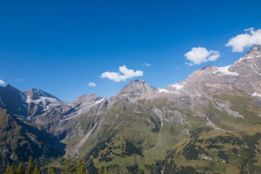 Alp manzara: çayır, orman, dağlar ve mavi gökyüzü