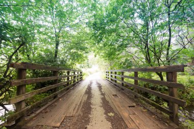 Parktaki eski ahşap köprü