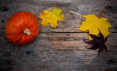Bright autumn  leaves and pumpkin  on background,close up