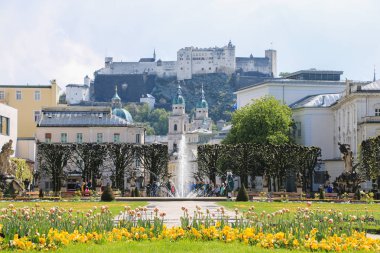 Arka planda çeşme olan güzel bir park