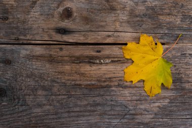 Ahşap zemin üzerinde sonbahar yaprağı.