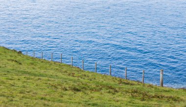 Yeşil çimenli güzel deniz manzarası