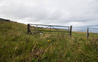 Yeşil çimlerin ve eski çitlerin güzel manzarası